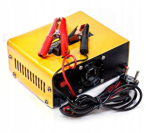 Prostownik MIKROPROCESOROWY 6V 24V Akumulatorowy