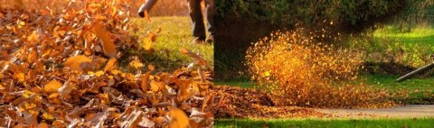 Dmuchawa spalinowa do śniegu i liści, odkurzacz, 750 W