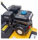 AERATOR WERTYKULATOR SPALINOWY 3w1 Z KOSZEM AERACJA WERTYKULACJA MOC 6,5KM